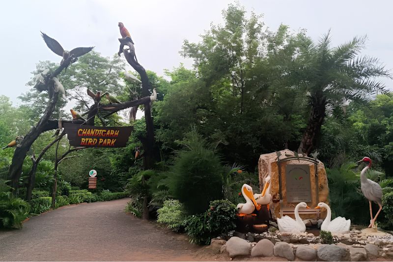 Rock Garden 2